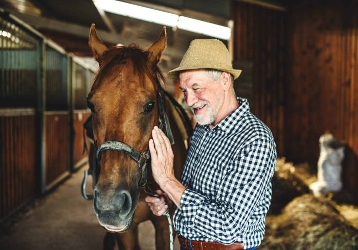 How to build a good relationship with your horse?
