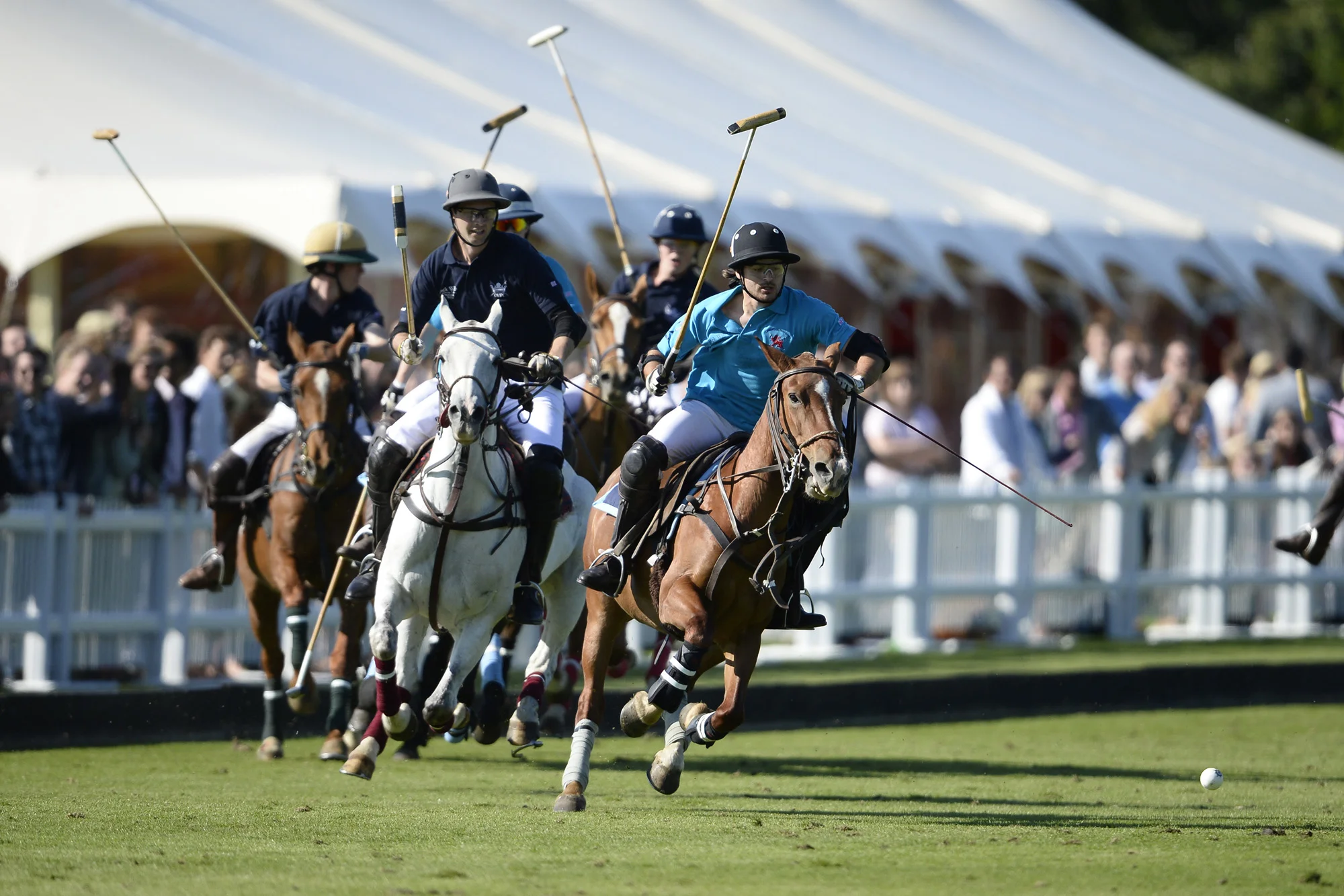 horse polo