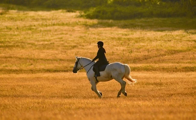 Horseback Riding